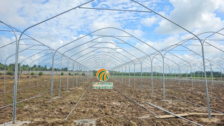 Tiến độ nhà lưới mái vòm trồng rau tại Trà Vinh Dư án nhà lưới mái vòm đang thi công phần khung
