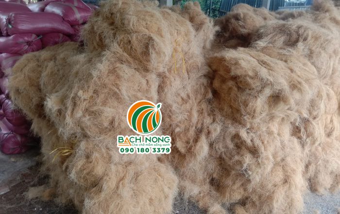Xơ dừa thành phẩm đạt chất lượng cao khi phơi trong nhà màng