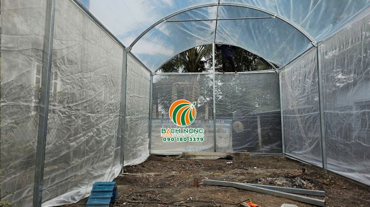 Toàn cảnh bên trong của nhà màng trồng rau mini