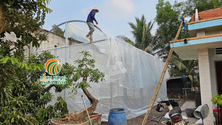 Công nhân lợp màng PE cho nhà màng mini