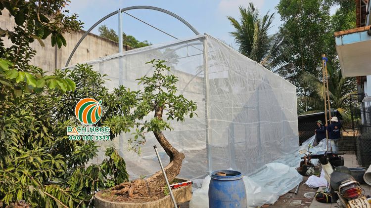 Lắp đặt phần lưới xung quanh cho nhà màng mini BÁCH NÔNG