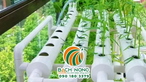 Dụng cụ trồng rau thủy canh