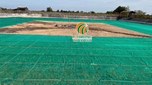 Lưới cước lót đáy ao nuôi tôm
