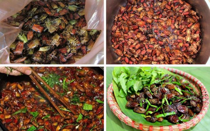 Chế biến món ăn từ bọ xít Chế biến món ăn từ bọ xít