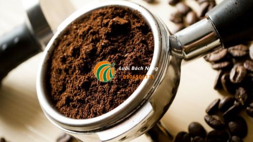 Cách sử dụng bã cà phê bón cho cây chanh Cách sử dụng bã cà phê bón cho cây chanh