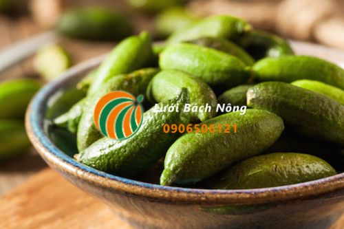 Quả chanh ngón tay Quả chanh ngón tay