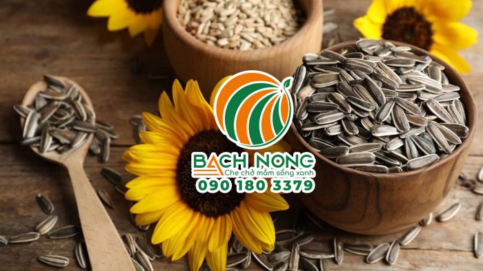 Hạt hướng dương chứa nhiều dinh dưỡng tốt cho sức khỏe