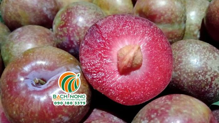 Quả mận đào bên trong và bên ngoài