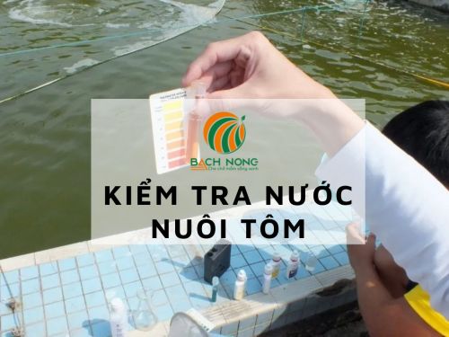 Clo giúp giảm độ pH cho nước