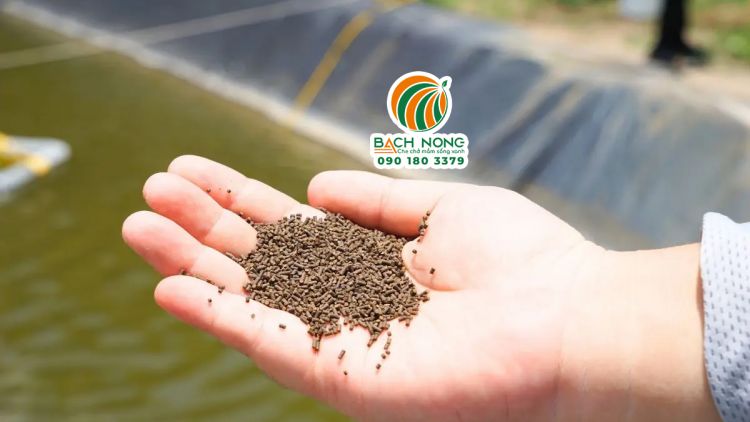 Thức ăn công nghiệp cho tôm dạng viên nhỏ kích thước 1.5mm 