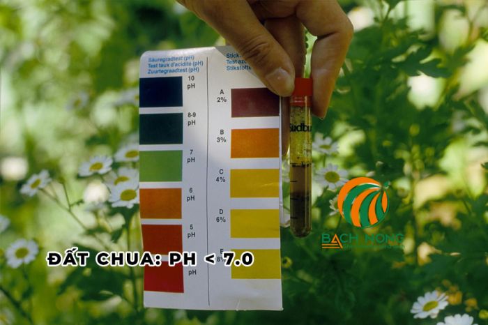 Xác định đất chua dựa trên độ pH nhỏ hơn 7.0