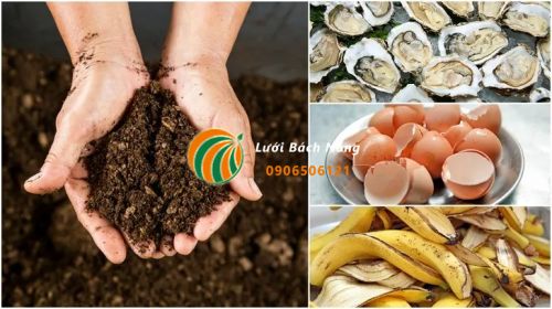 Cải tạo đất trồng