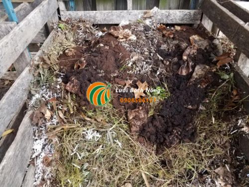 Sử dụng bã cà phê làm phân hữu cơ