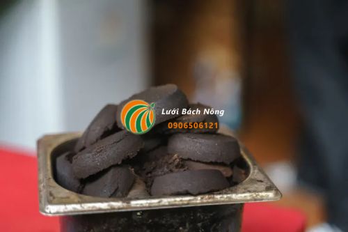 Bã cà phê cải tạo đất