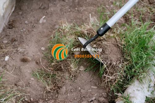 Dọn mặt bằng trước khi phủ bạt diệt cỏ