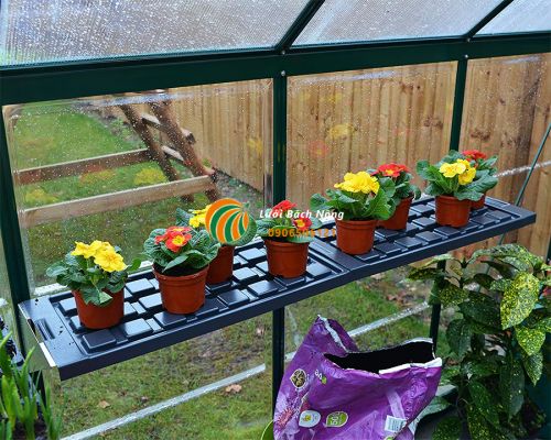 Lắp đặt giá đỡ cho nhà kính Lắp đặt giá đỡ cho nhà kính