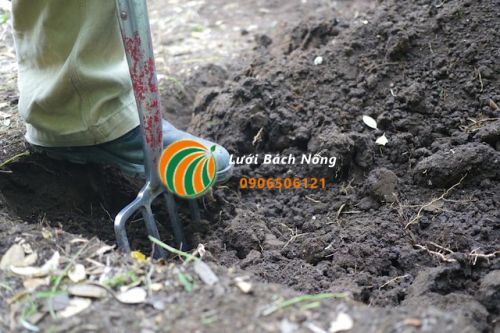 Lợi ích của đất nền Lợi ích của đất nền