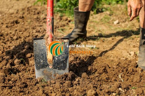 Mẹo cải tạo đất sét Mẹo cải tạo đất sét