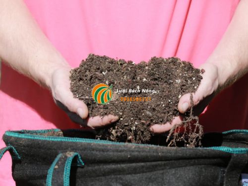 Cách tái sử dụng đất làm bầu đất trồng Cách tái sử dụng đất làm bầu đất trồng