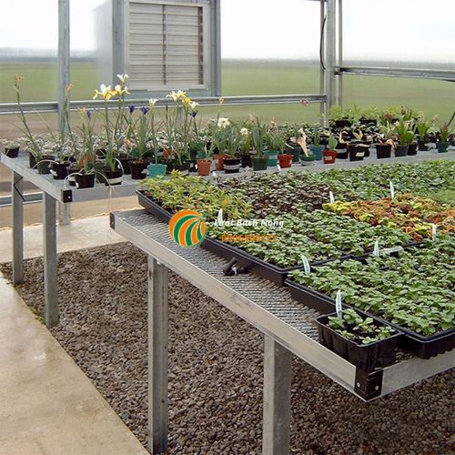 Sử dụng băng ghế bầu cho nhà kính Sử dụng băng ghế bầu cho nhà kính