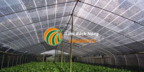 Sử dụng lưới che nắng cho vườn rau Sử dụng lưới che nắng cho vườn rau
