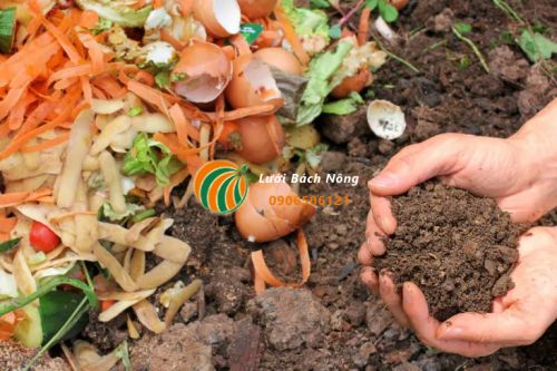 Sử dụng phân hữu bón cho đất