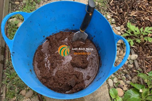 Mẹo sử dụng xơ dừa cho cây trồng