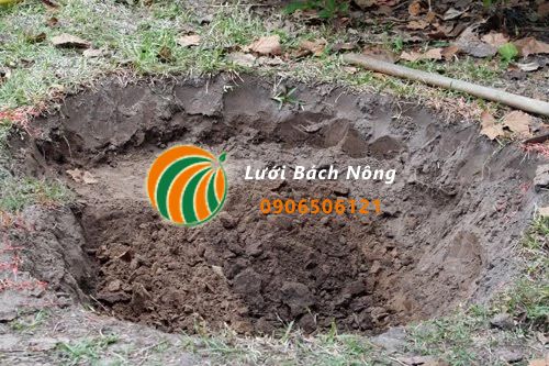 Tìm hiểu về đất nền Tìm hiểu về đất nền