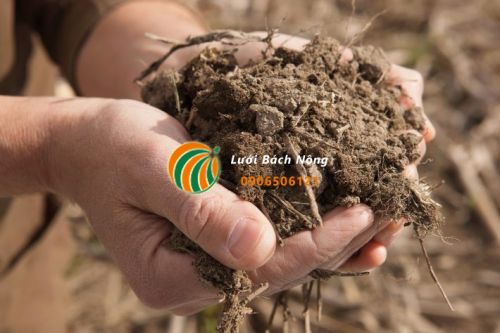 Tìm hiểu về đất trồng Tìm hiểu về đất trồng