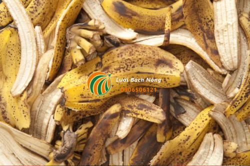 Vỏ chuối tốt cho đất trồng
