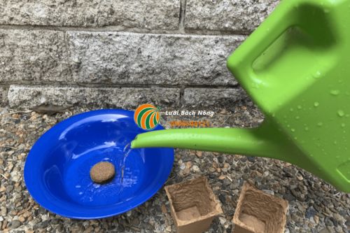 Xử lý viên nén xơ dừa