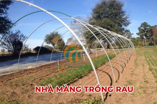 Cách làm nhà màng trồng rau Cách làm nhà màng trồng rau