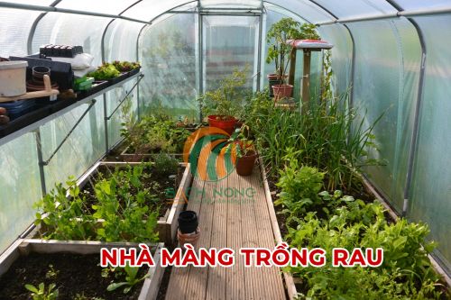 Ưu điểm của nhà màng trồng rau Ưu điểm của nhà màng trồng rau
