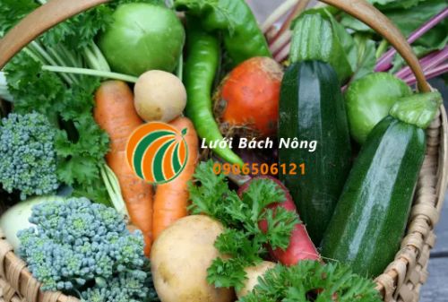 Cách ngăn côn trùng cho vườn rau Cách ngăn côn trùng cho vườn rau