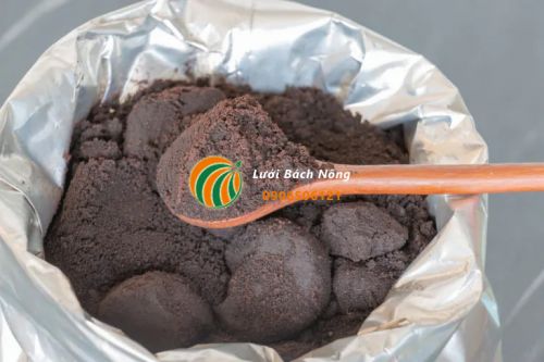 Tận dụng bã cà phê bổ sung đạm Tận dụng bã cà phê bổ sung đạm