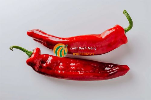 Sử dụng Ớt đuổi sâu bướm