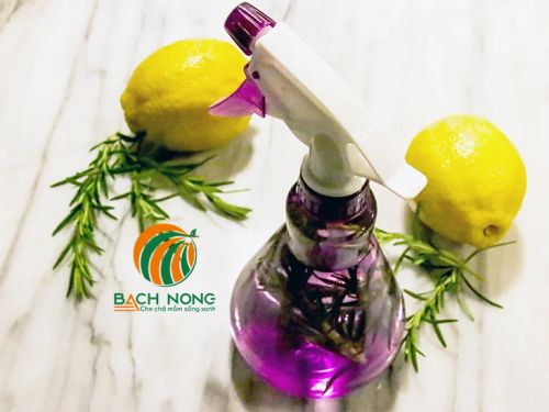 Sử dụng thuốc diệt sâu từ vỏ chanh