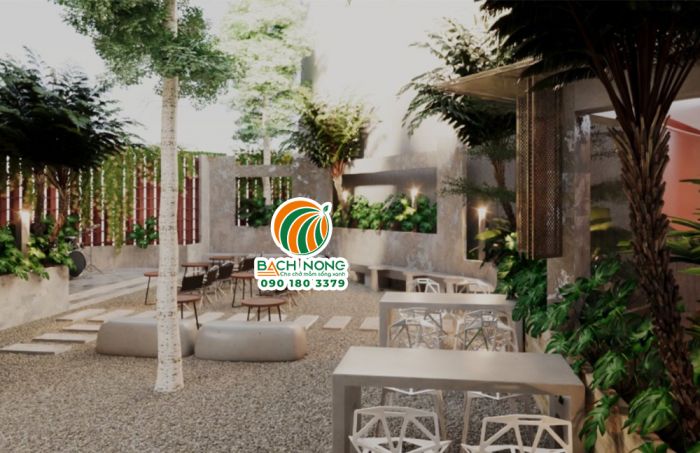 Bố trí cây xanh cho quán cafe để giảm nhiệt độ