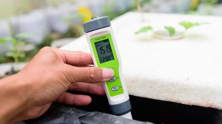 Sử dụng thiết bị đo EC để đo độ dẫn điện phù hợp cho cây trồng