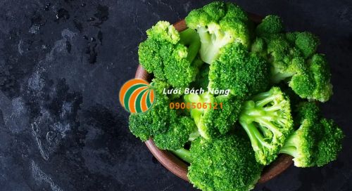 Bông cải xanh