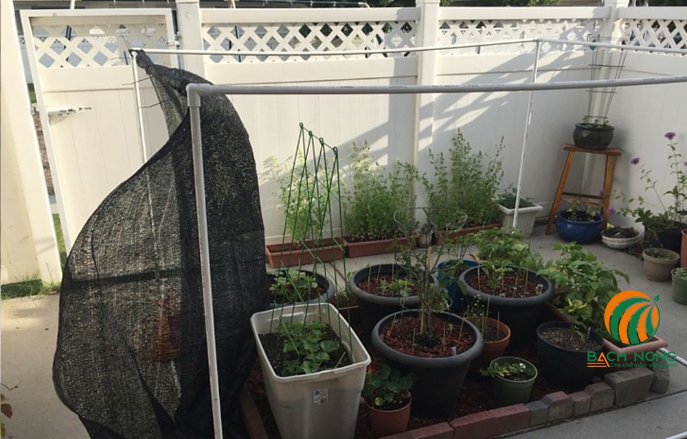 Gắn lưới che nắng vào khung