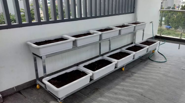 Giàn trồng rau 2 tầng so le nhau để được 10 khay trồng lớn