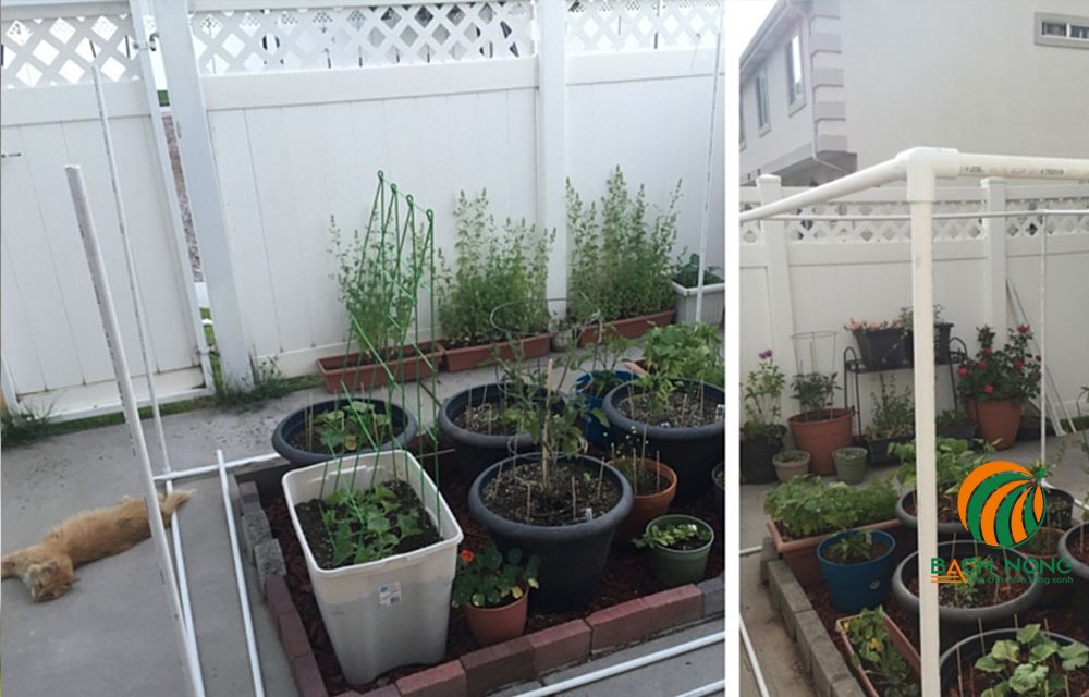 Kết nối ống PVC lại với nhau