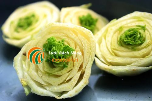 Tận dụng phế phẩm nhà bếp để trồng lại