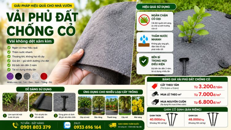 Báo giá chi tiết vải phủ cỏ theo tấm, cuộn và cắt lẻ theo mét vuông